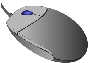 Mouse, Computer Mouse